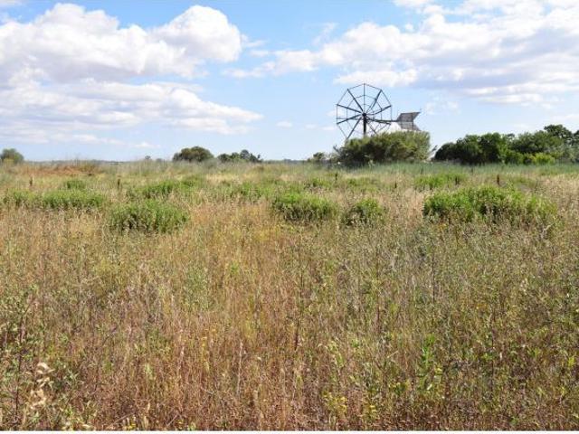 Local Comercial en venta en Pla de Mallorca, Baleares