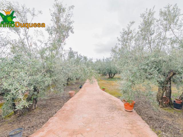Chalet en venta en Comarca de la Vega de Granada, Andalucía