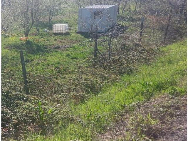 Local Comercial en venta en El Bierzo, Castilla y León