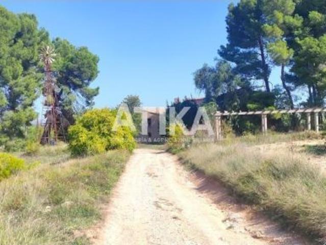 Local Comercial en venta en Morera, la Vall d'Albaida