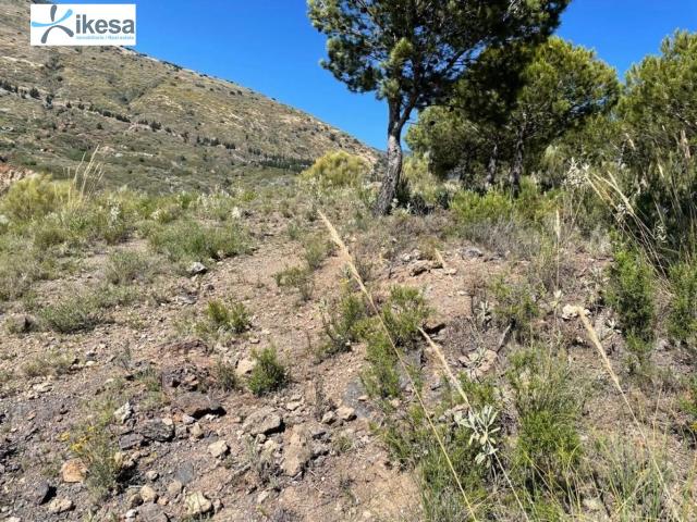 Terreno en venta en Comarca de la Alpujarra Granadina, Andalucía