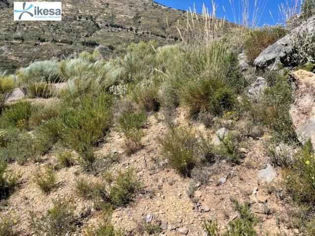 Terreno en venta en Comarca de la Alpujarra Granadina, Andalucía