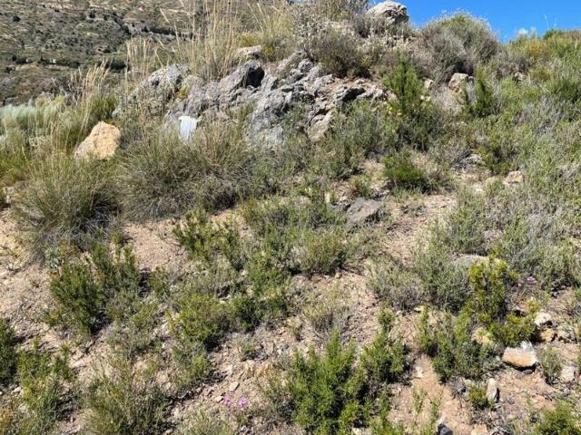 Terreno en venta en Cerro Negro, Comarca de la Alpujarra Granadina