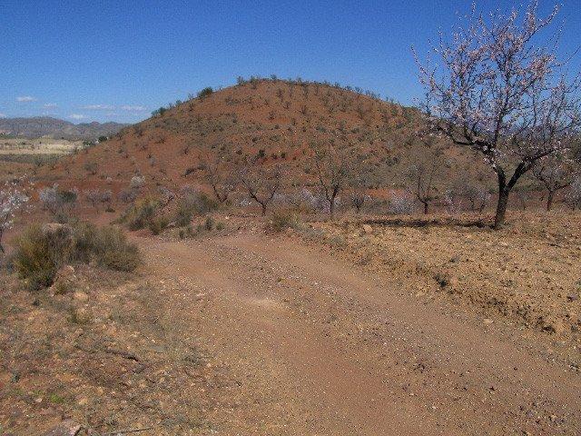 Terreno en venta en Virgen de las Huertas, Alto Guadalentín