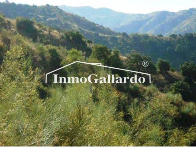 Terreno en venta en Este, Málaga-Costa del Sol