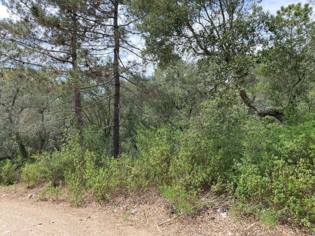 Terreno en venta en Baix Empordà, Catalunya