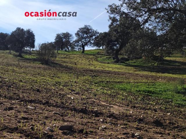 Chalet en venta en Pozoblanco, Andalucía