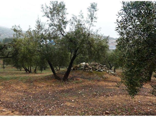 Local Comercial en venta en Monteluz, Comarca de la Vega de Granada