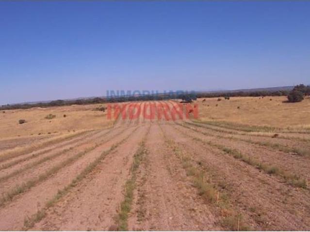 Casa en venta en Peraleda De La Mata, Extremadura