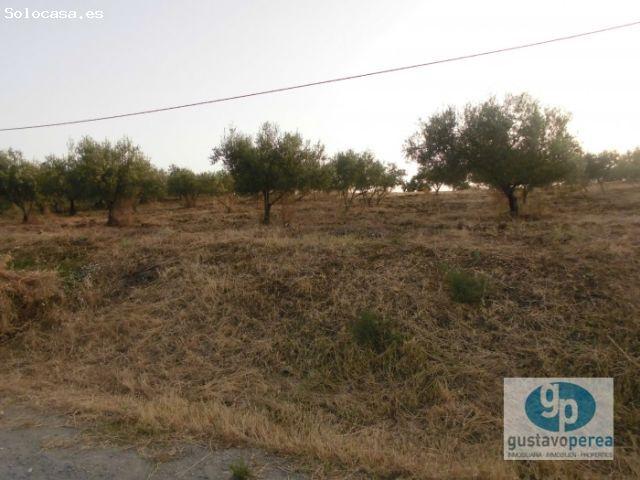 Local Comercial en venta en Pizarra