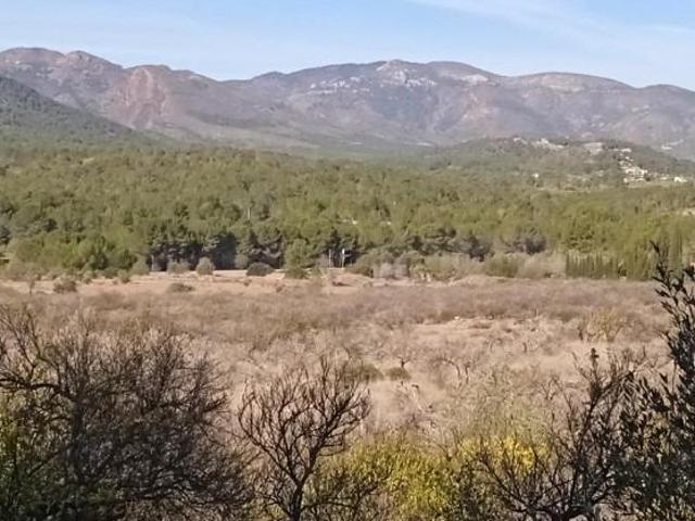 Terreno en venta en el Camp de Morvedre, Valencia