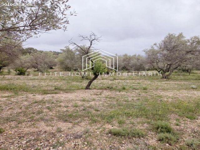 Local Comercial en venta en el Baix Maestrat, Valencia