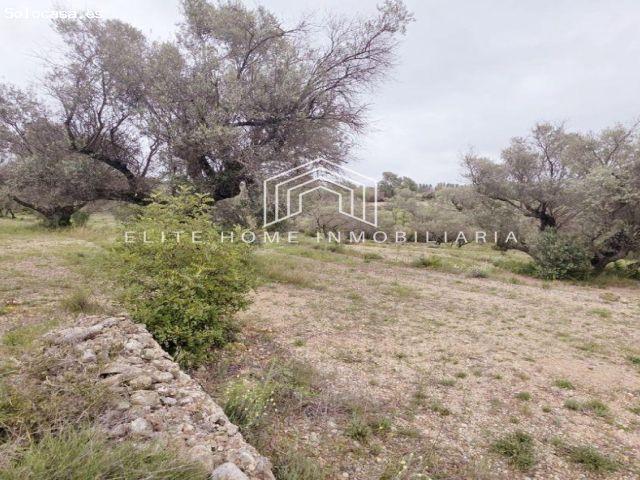 Local Comercial en venta en el Baix Maestrat, Valencia