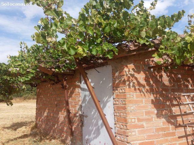 Local Comercial en venta en Los Malagones, Arenas de San Pedro