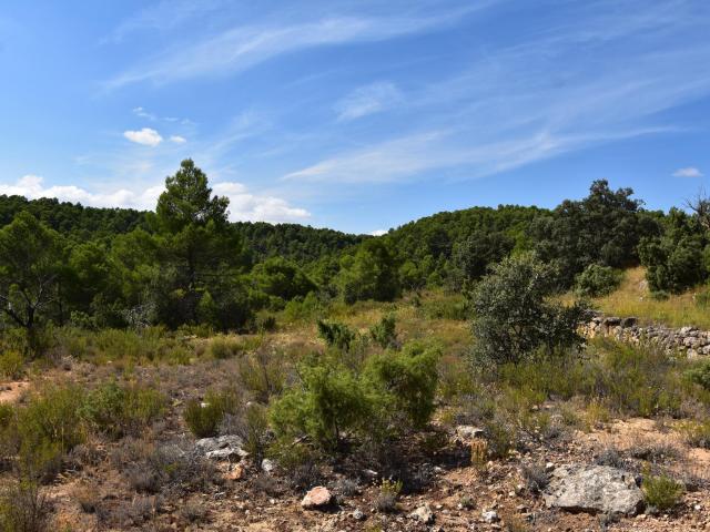 Chalet en venta en Matarraña / Matarranya, Ráfales