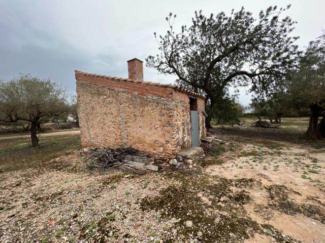 Chalet en venta en Baix Ebre, Catalunya