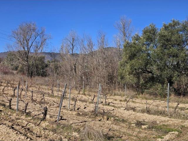 Terreno en venta en San Martín De Valdeiglesias, Madrid