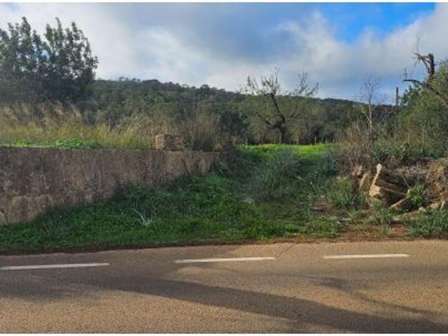 Local Comercial en venta en Pla de Mallorca, Baleares