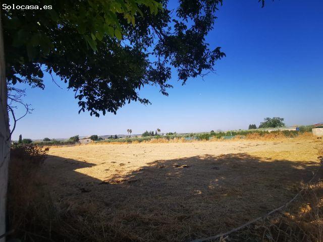 Local Comercial en venta en Comarca de la Vega de Granada, Andalucía