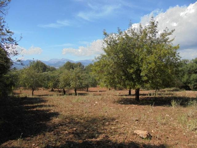 Terreno en venta en Pla de Mallorca, Baleares