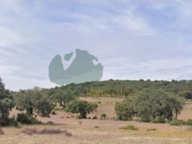 Casa en venta en Tierra de Barros, Extremadura