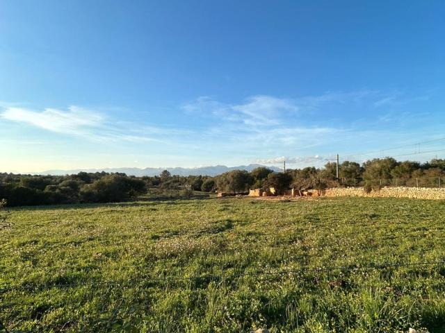 Chalet en venta en Pla de Mallorca, Baleares