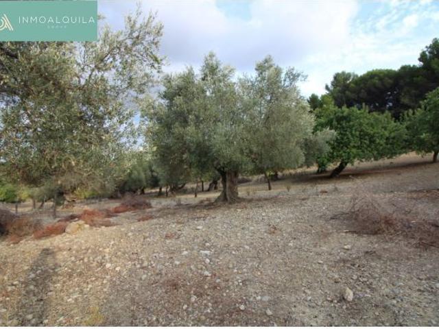 Local Comercial en venta en Raiguer, Baleares