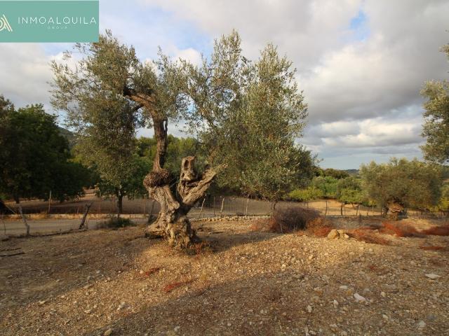 Chalet en venta en Raiguer, Baleares
