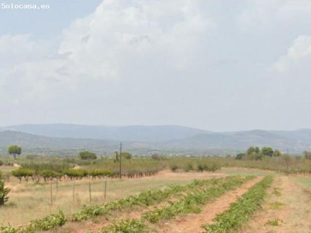 Local Comercial en venta en la Plana Alta, Valencia