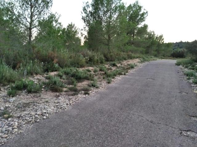 Terreno en venta en la Plana Alta, Valencia