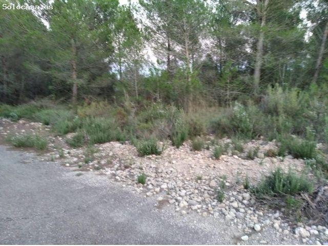 Local Comercial en venta en la Plana Alta, Valencia