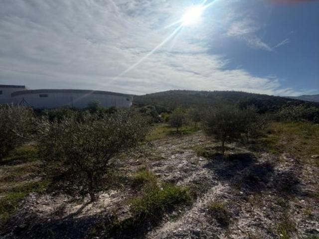 Local Comercial en venta en Berja, Andalucía