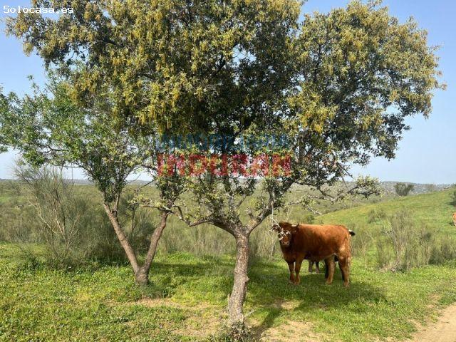 Casa en venta en Valdelacasa De Tajo, Extremadura