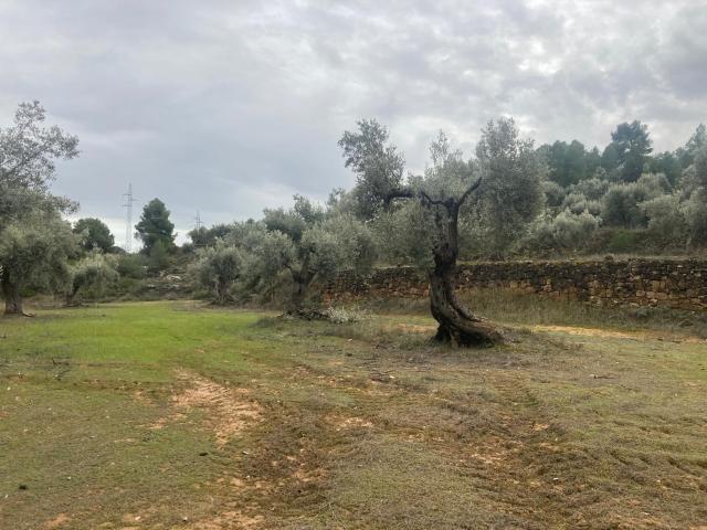 Chalet en venta en Matarraña / Matarranya, Valderrobres