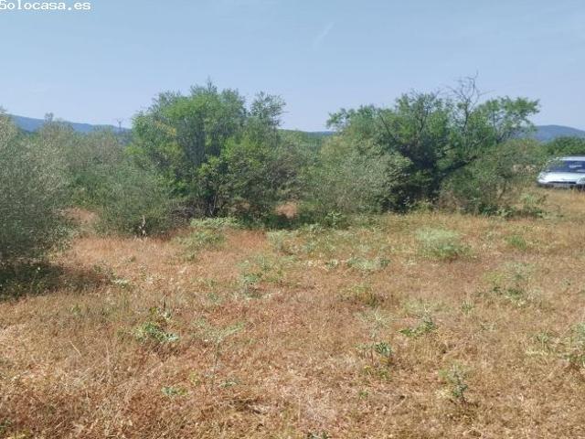 Local Comercial en venta en la Plana Alta, Valencia