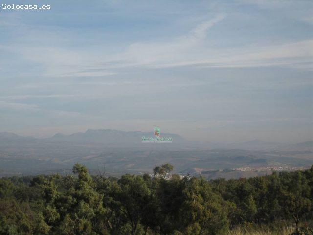 Local Comercial en venta en Deifontes