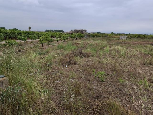 Terreno en venta en la Plana Baixa, Valencia