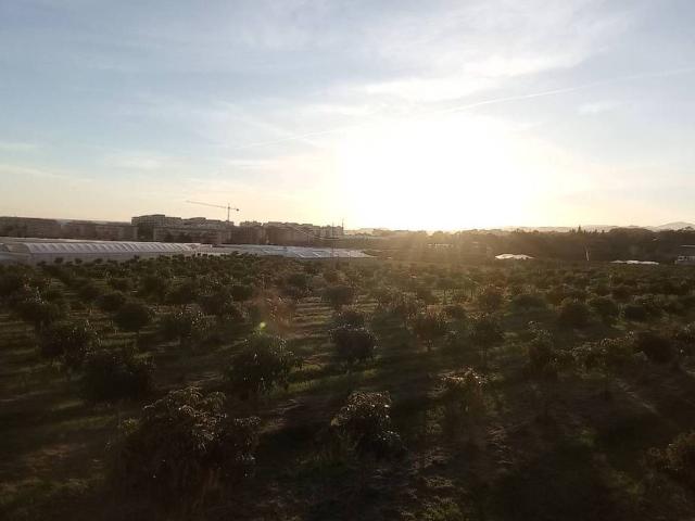 Casa Rural en venta en Los Llanos, La Axarquía