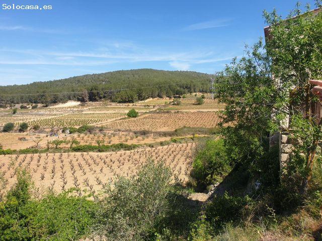 Local Comercial en venta en Sant Pere Molanta, Alt Penedès