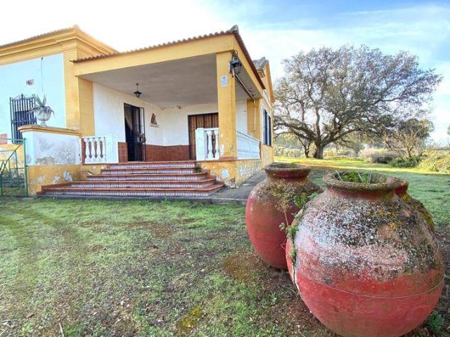 Terreno en venta en Alange