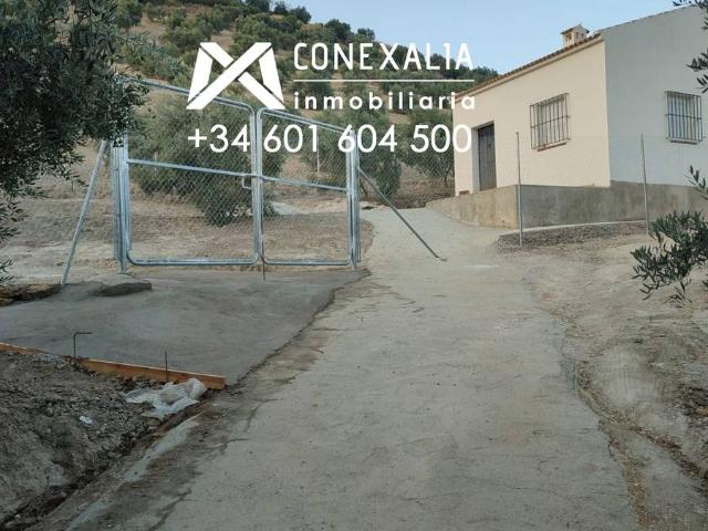 Terreno en venta en Sierra de Cádiz, Andalucía