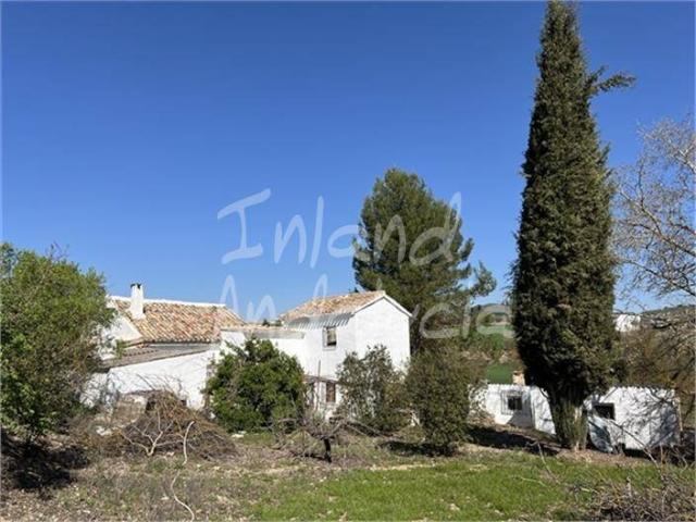 Terreno en venta en Barrio de las Cruces, Alcalá La Real