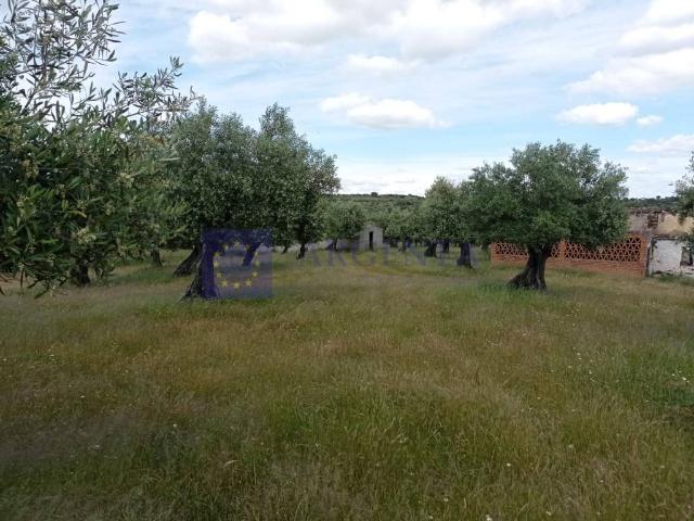 Terreno en venta en Alcántara