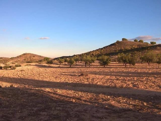 Terreno en venta en Alcantarilla, Área Metropolitana de Murcia