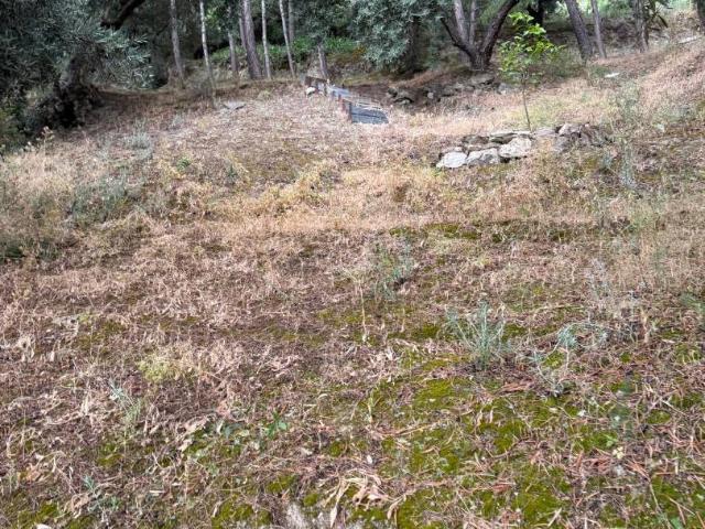 Terreno en venta en San Bartolomé, Jaén