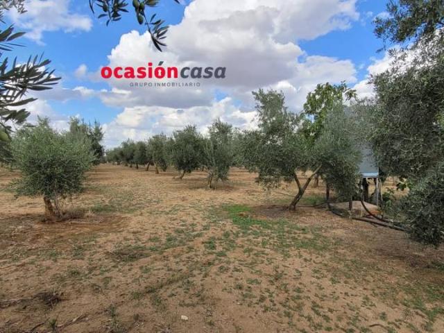 Terreno en venta en Alcaracejos, Andalucía