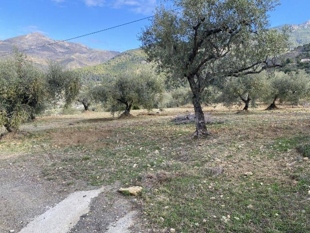 Terreno en venta en Alcaucín
