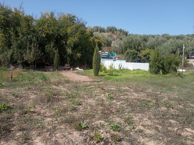 Terreno en venta en Alcaudete