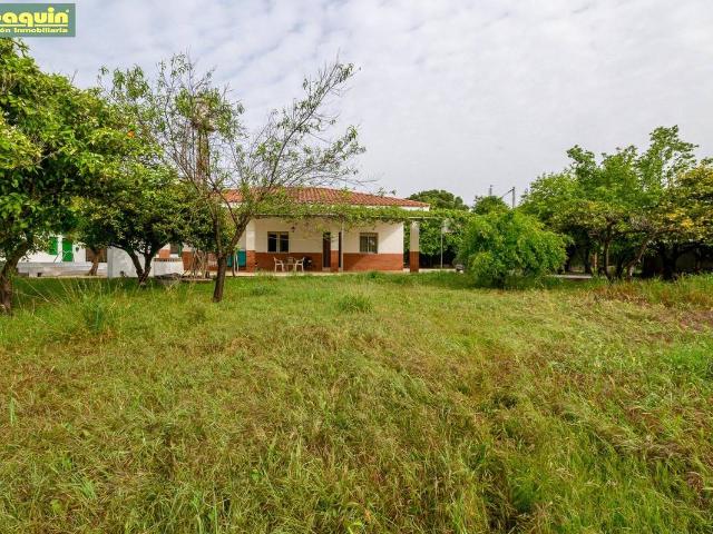 Terreno en venta en Distrito Centro, Córdoba