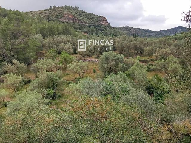 Terreno en venta en Baix Ebre, Catalunya